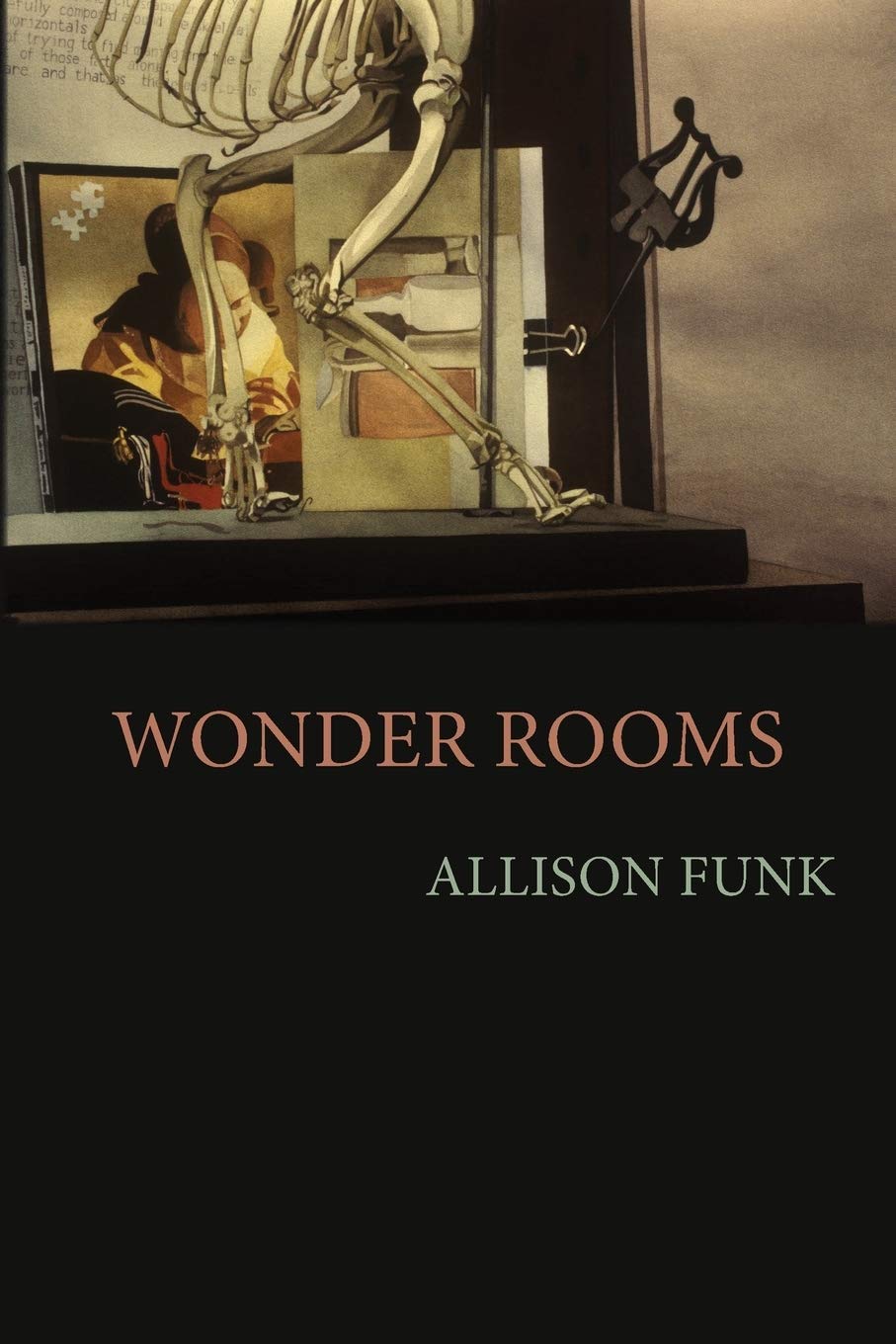 Wonder Rooms book cover