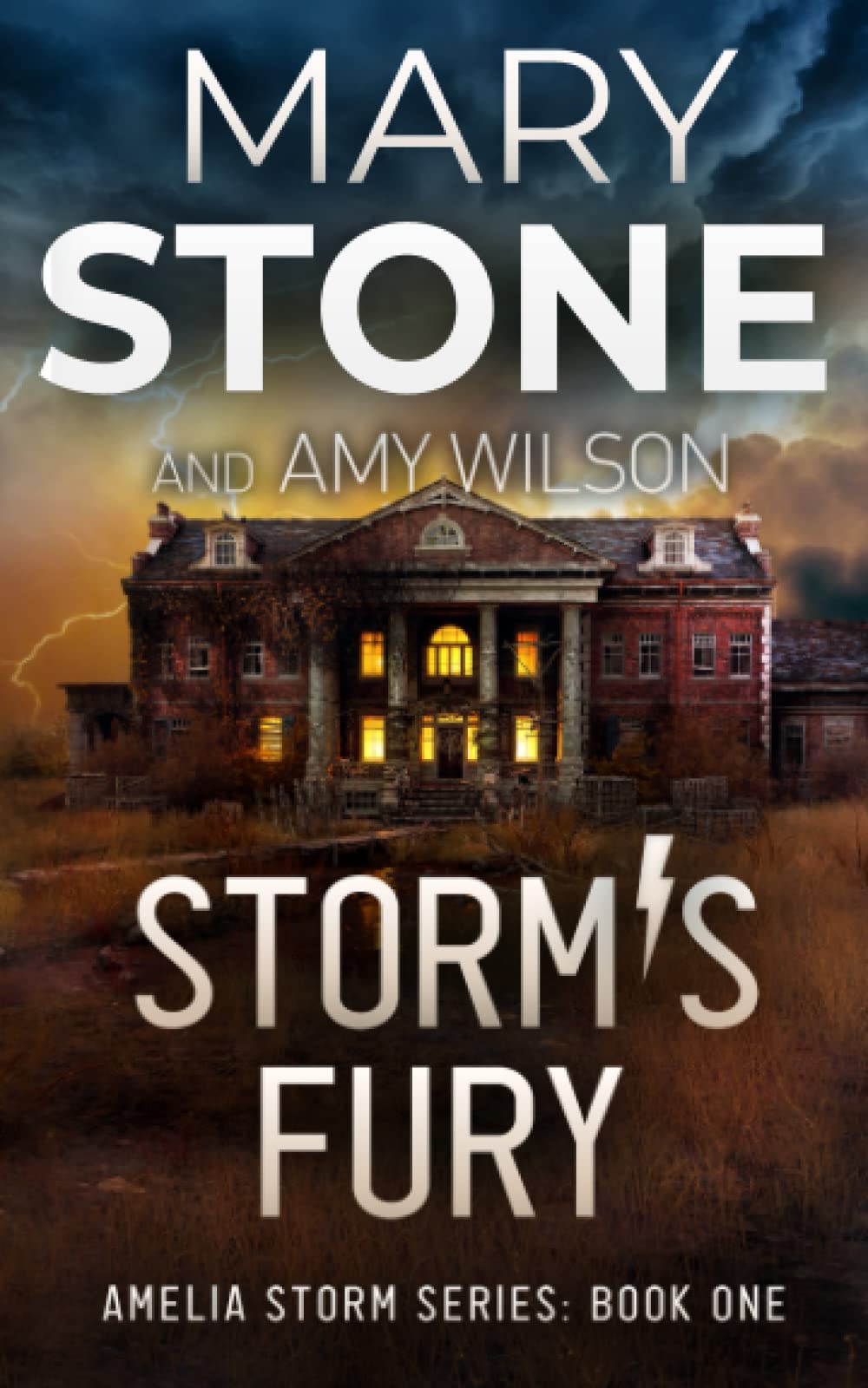 Storm's Fury (Amelia Storm FBI Mystery Series)