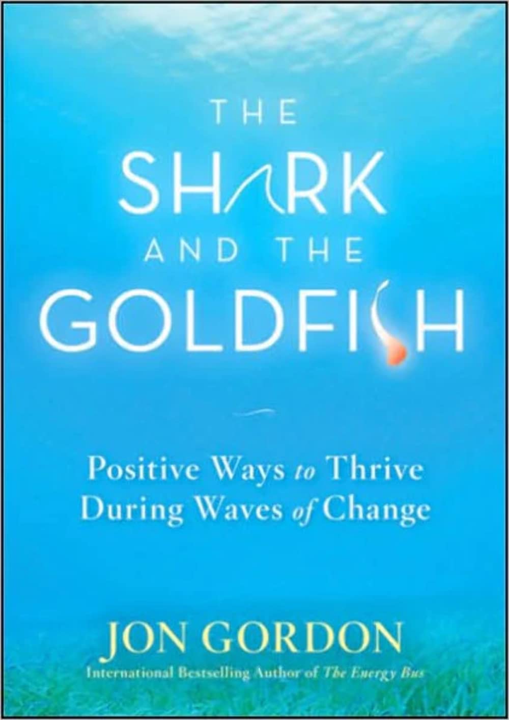 Shark and the Goldfish: Positive Ways to Thrive During Waves of Change