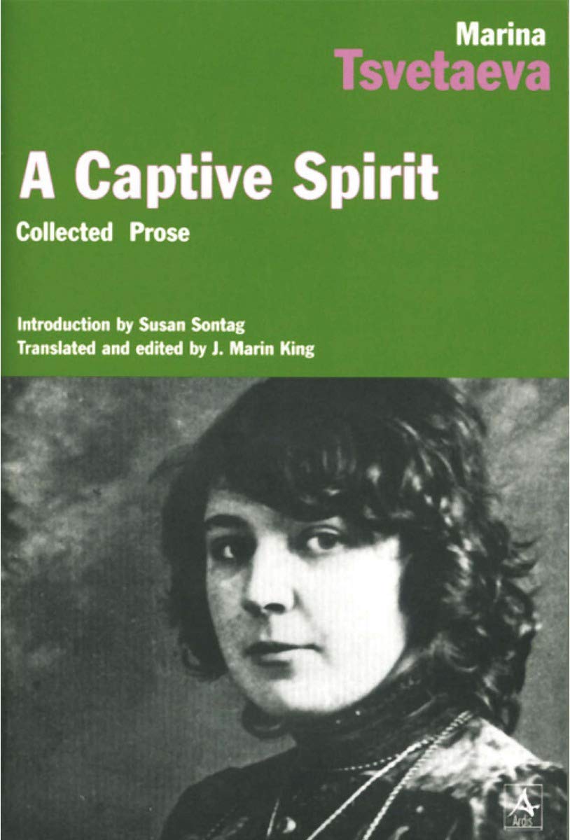Captive Spirit book cover
