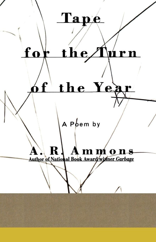 Tape for the Turn of the Year (Revised) book cover