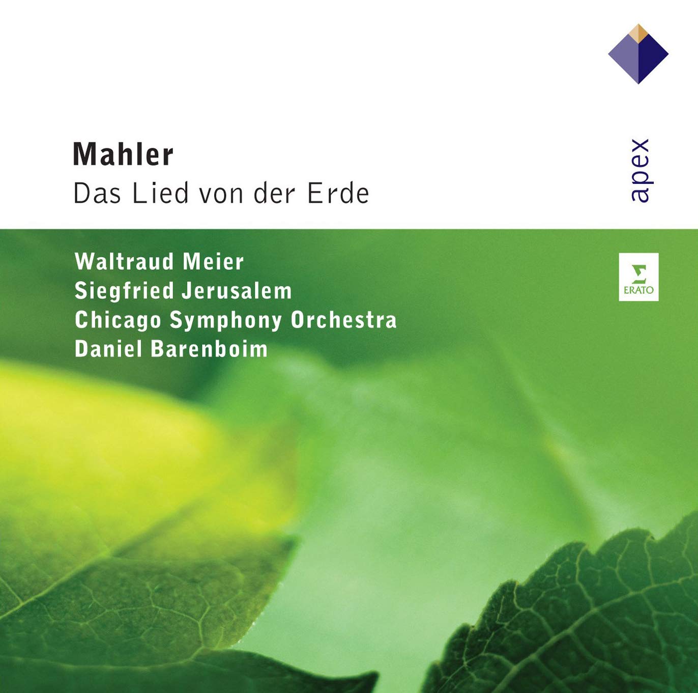 Das Lied Von Der Erde book cover