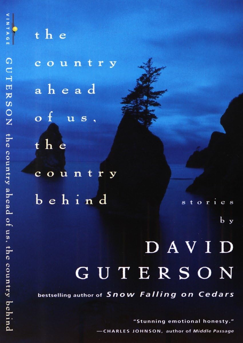 Country Ahead of Us, the Country Behind book cover