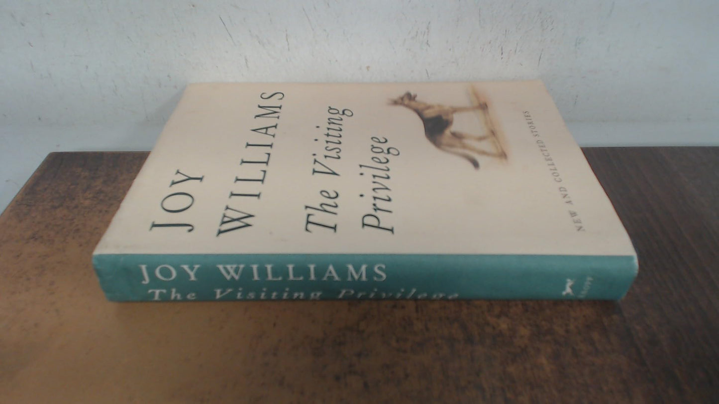 Visiting Privilege: New and Collected Stories book cover