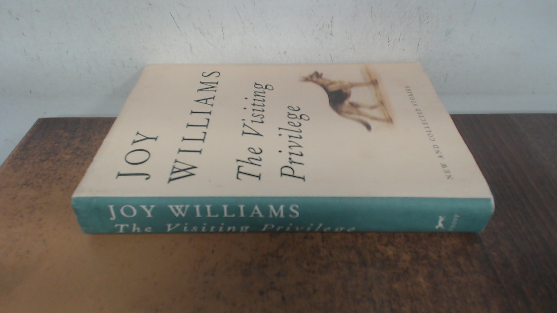 Visiting Privilege: New and Collected Stories book cover