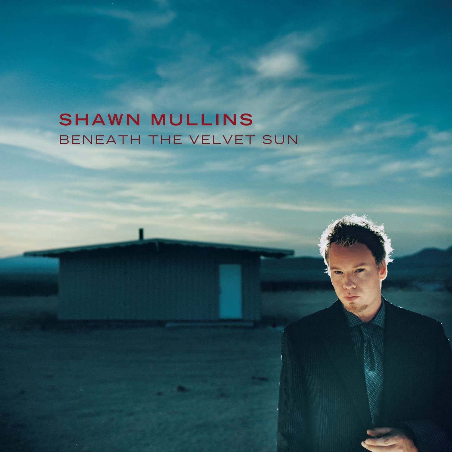Beneath The Velvet Sun book cover