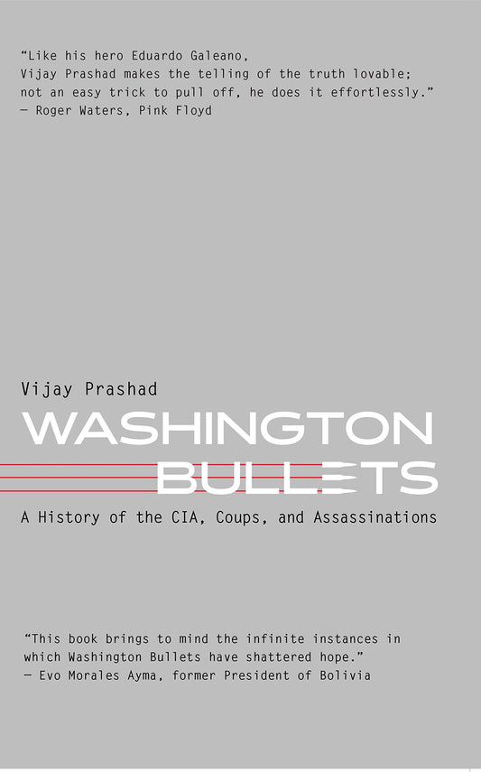Washington Bullets book cover