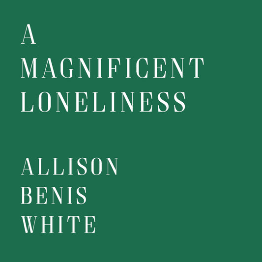 A Magnificent Loneliness book cover