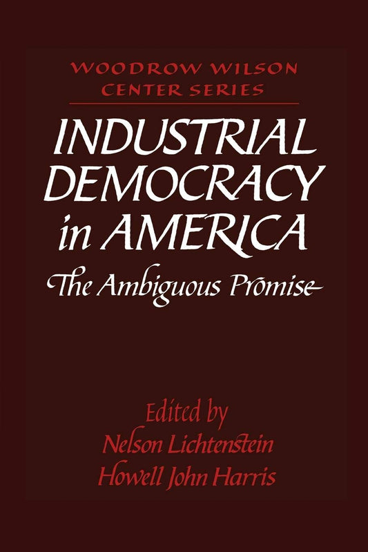 Industrial Democracy in America: The Ambiguous Promise (Revised) book cover