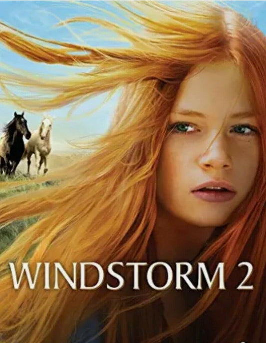 Windstorm 2 book cover