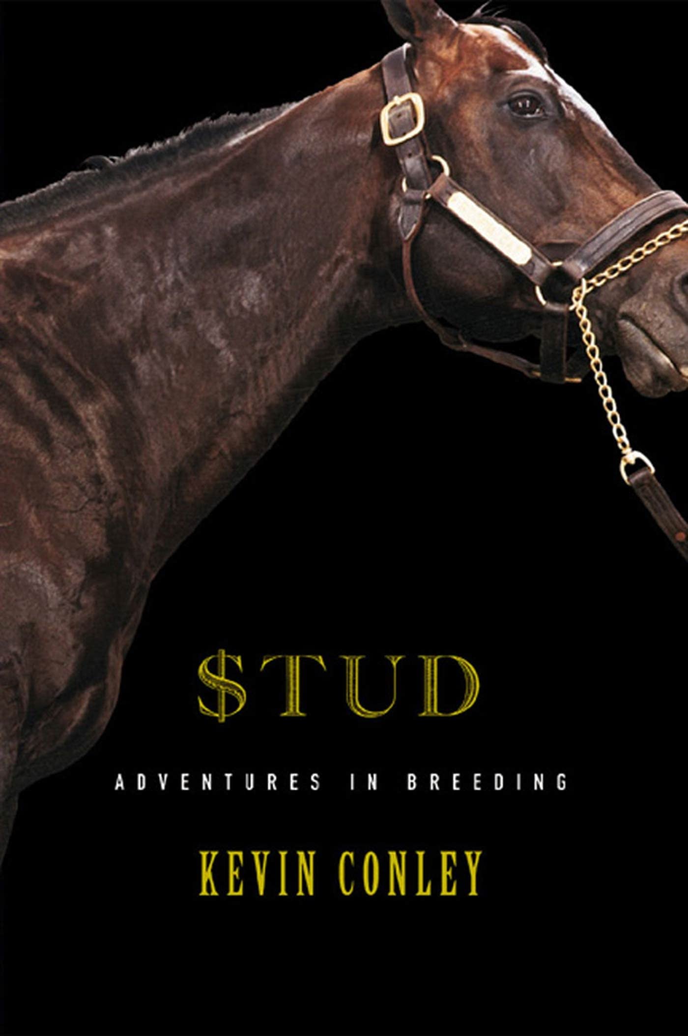 Stud book cover
