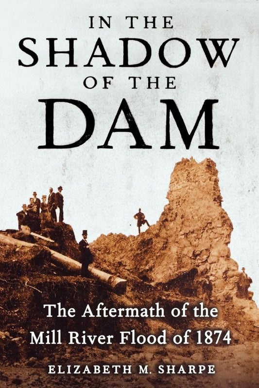 In the Shadow of the Dam: The Aftermath of the Mill River Flood of 1874 book cover