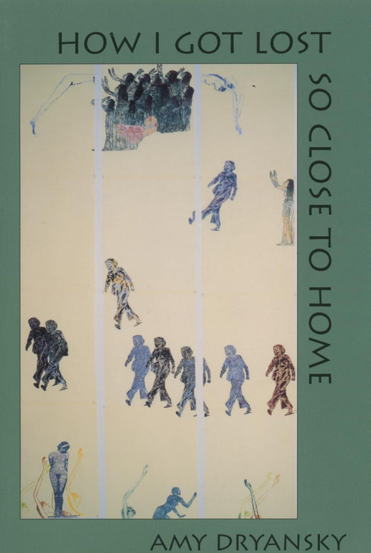 How I Got Lost So Close to Home book cover
