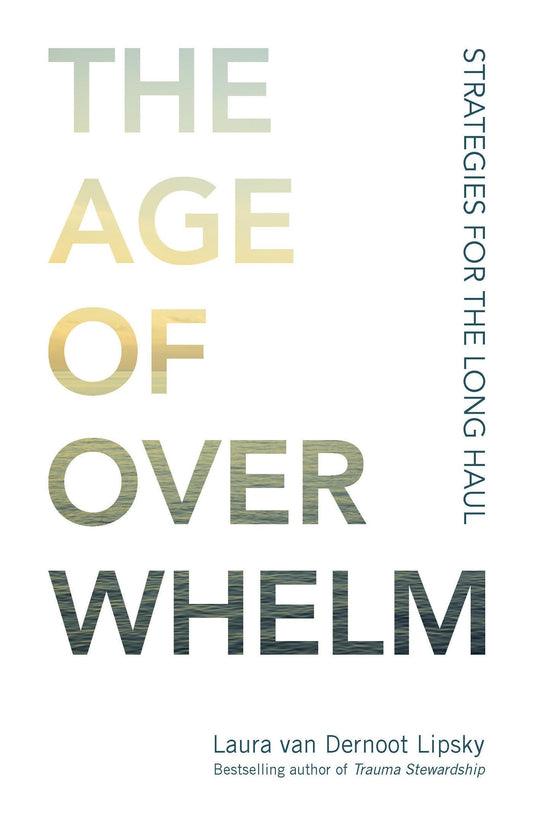 Age of Overwhelm: Strategies for the Long Haul book cover
