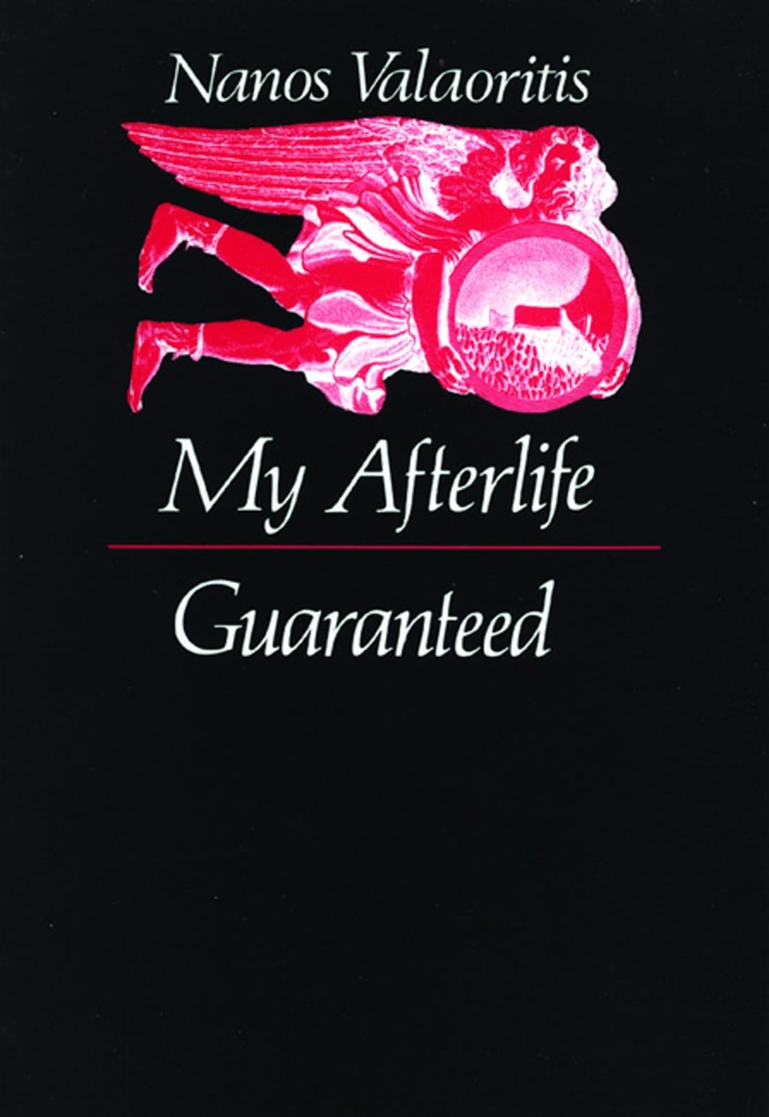 My Afterlife Guaranteed book cover