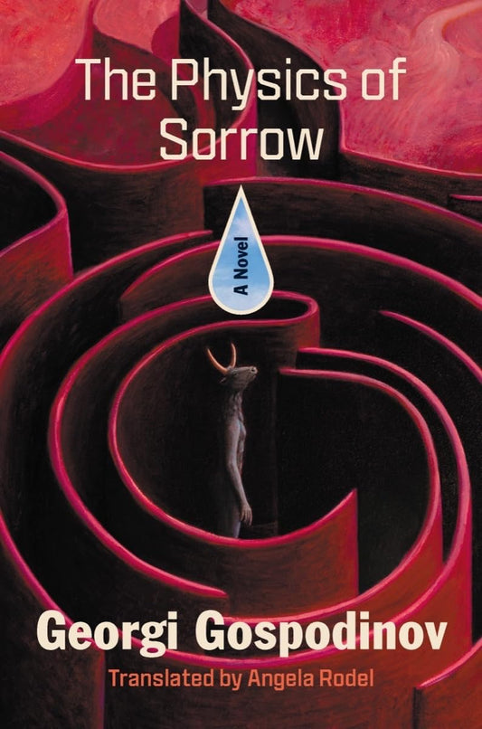 Physics of Sorrow book cover