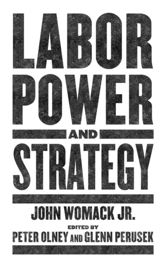 Labor Power and Strategy book cover