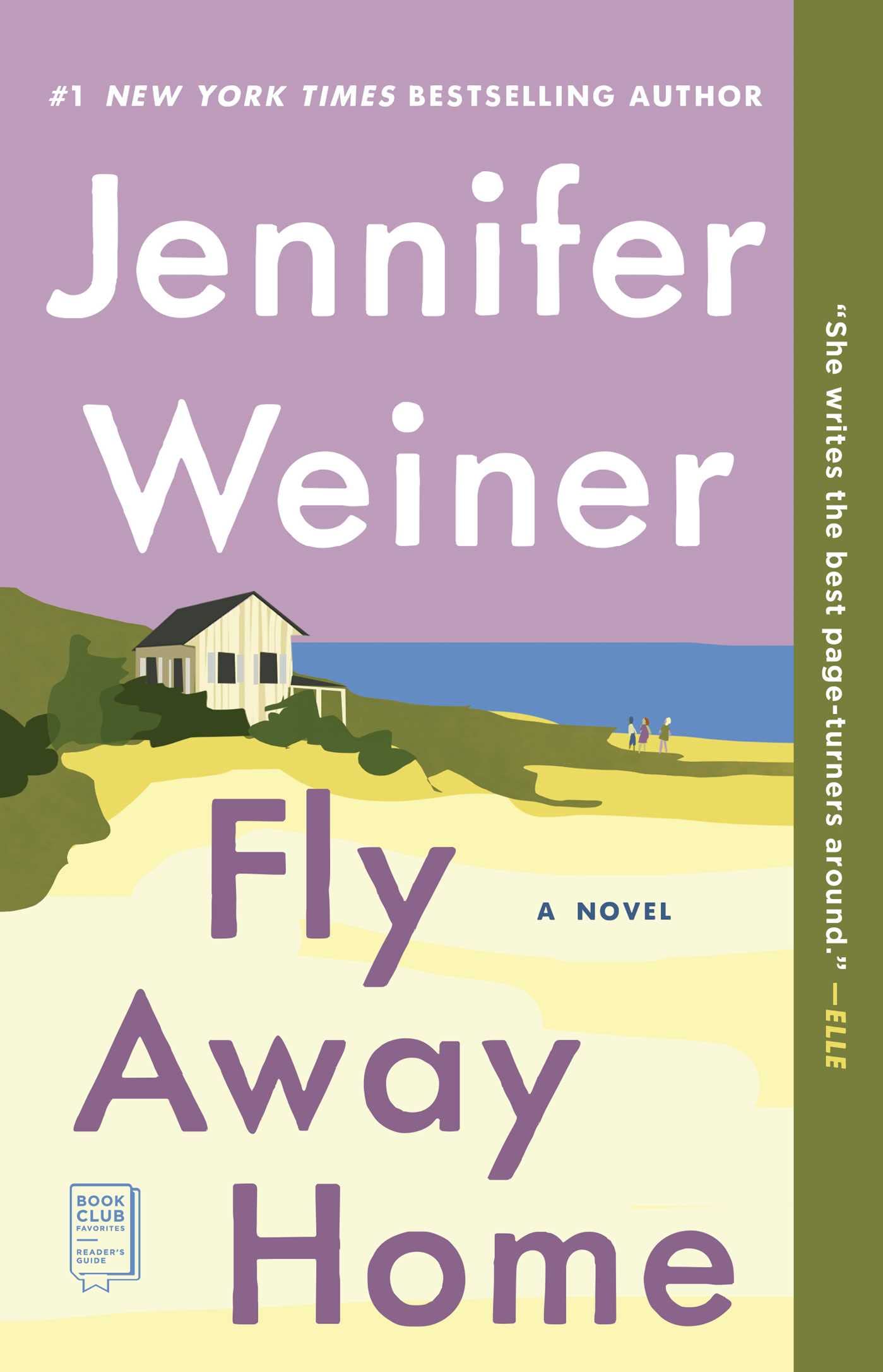 Fly Away Home book cover
