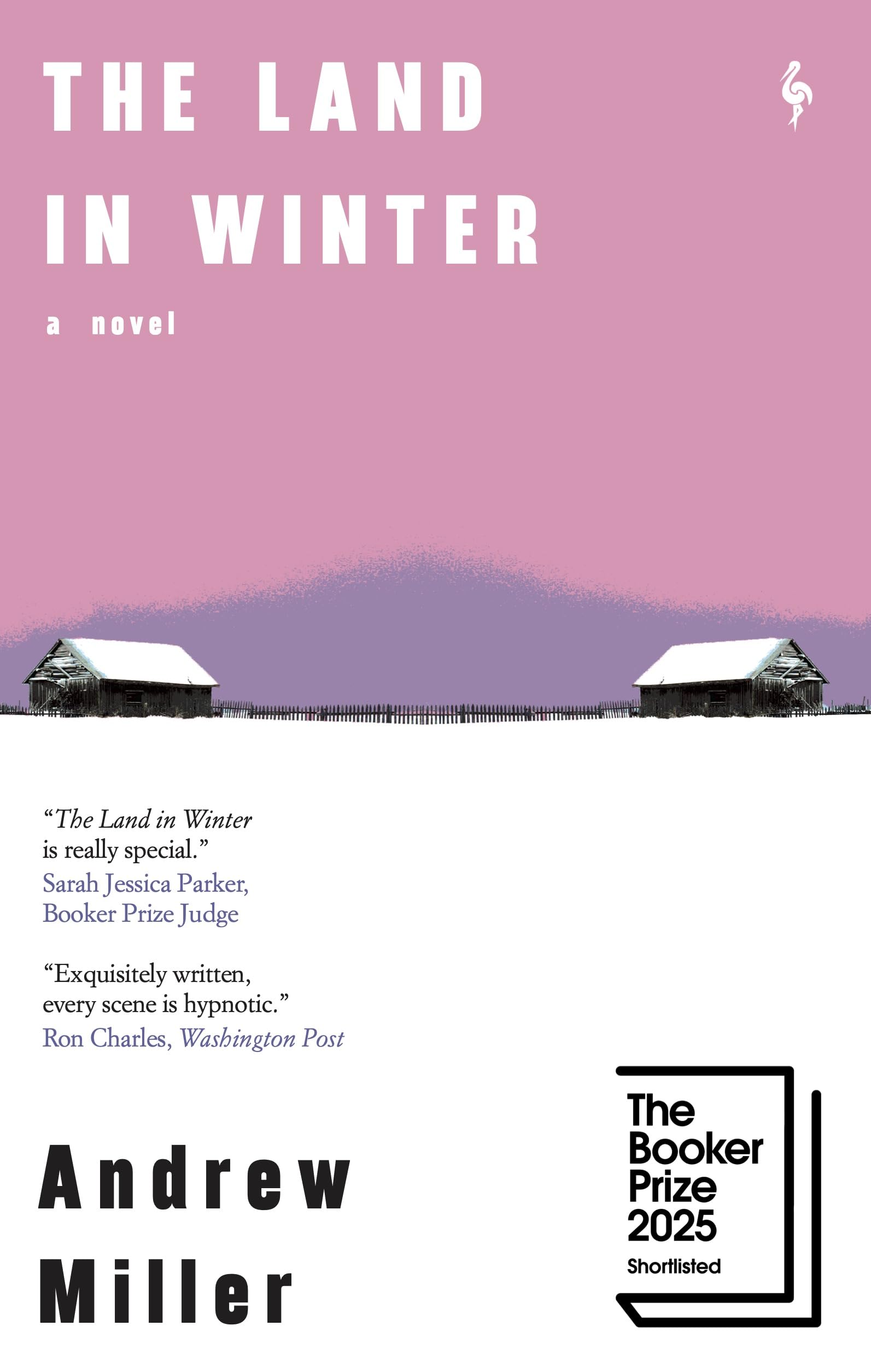 The Land in Winter book cover