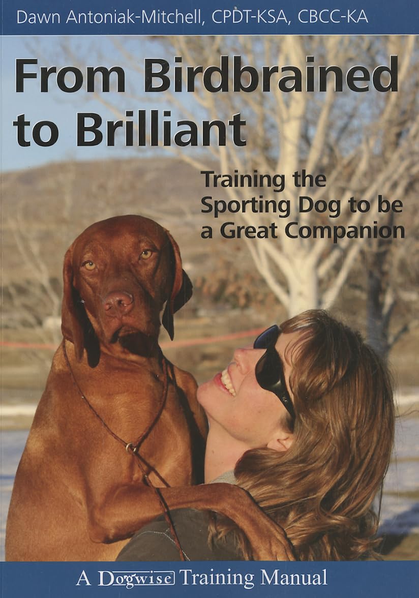 From Birdbrained to Brilliant: Training the Sporting Dog to Be a Great Companion book cover
