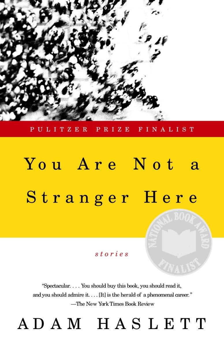 You Are Not a Stranger Here book cover