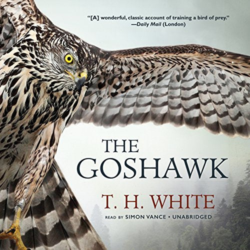 Goshawk