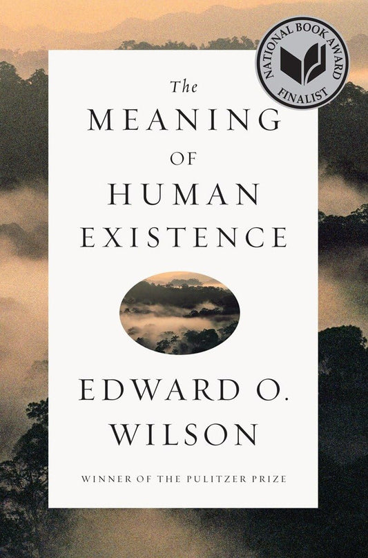Meaning of Human Existence book cover