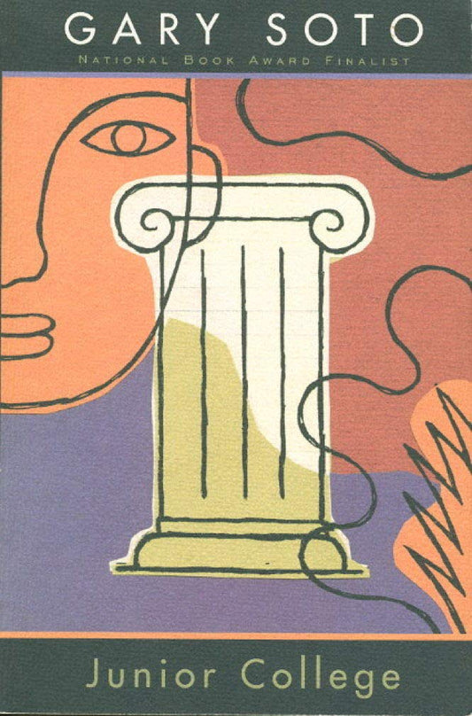 Junior College book cover
