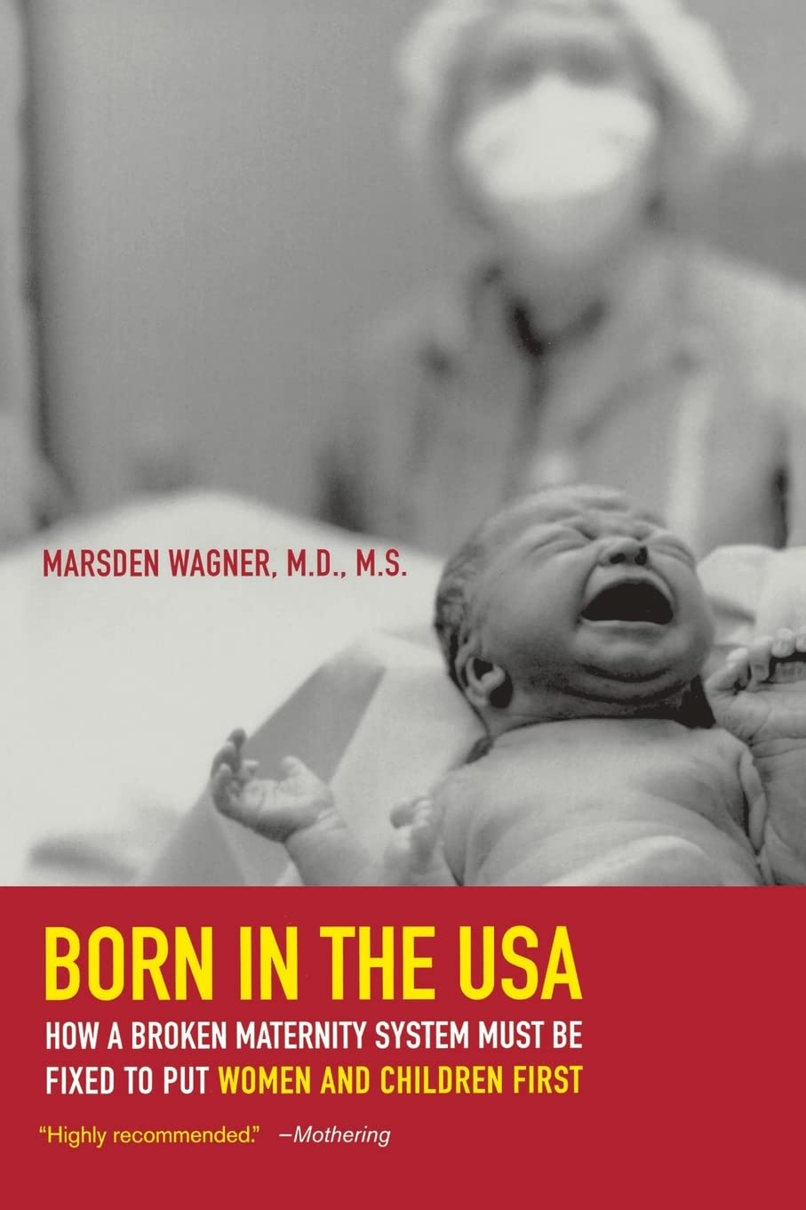 Born in the USA: How a Broken Maternity System Must Be Fixed to Put Women and Children First book cover
