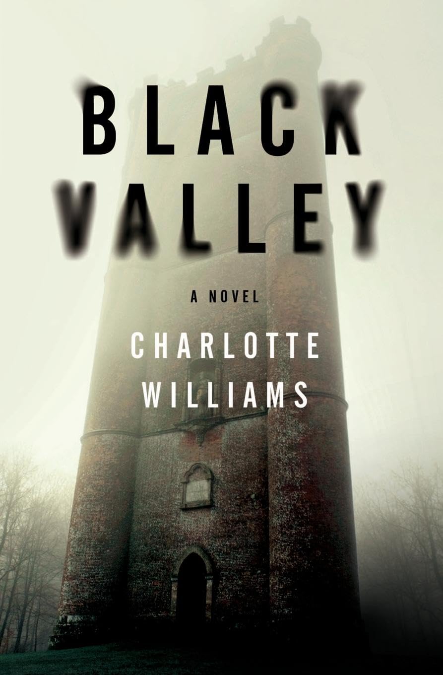 Black Valley book cover