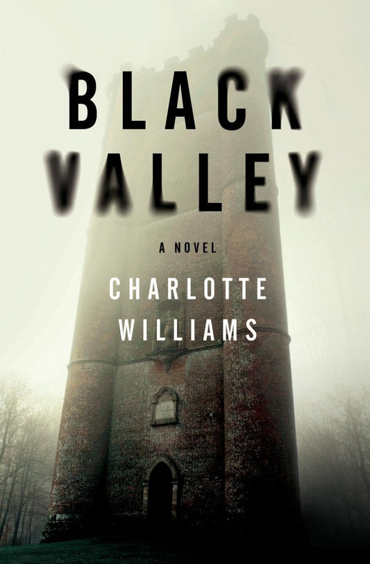 Black Valley book cover
