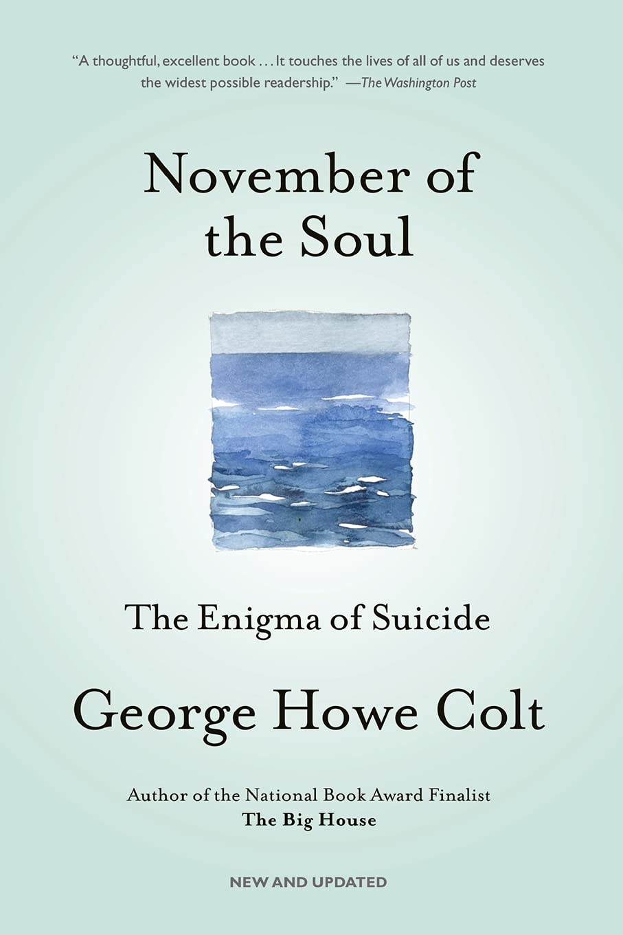 November of the Soul: The Enigma of Suicide book cover