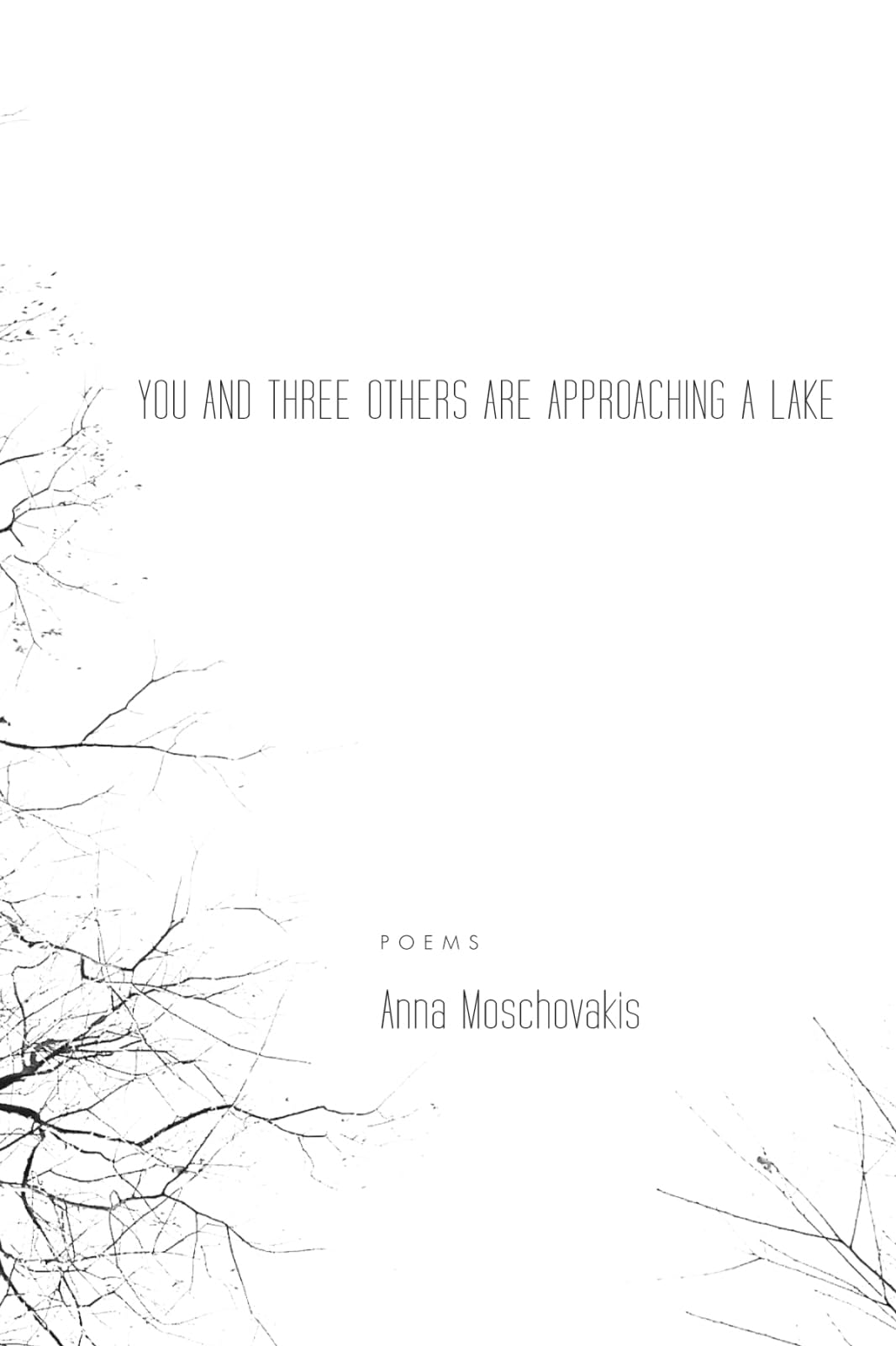 You and Three Others Are Approaching a Lake book cover