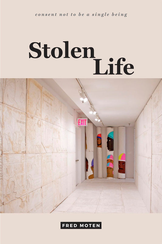 Stolen Life book cover