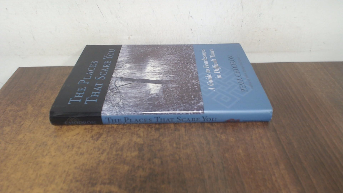 The Places That Scare You: A Guide to Fearlessness in Difficult Times book cover
