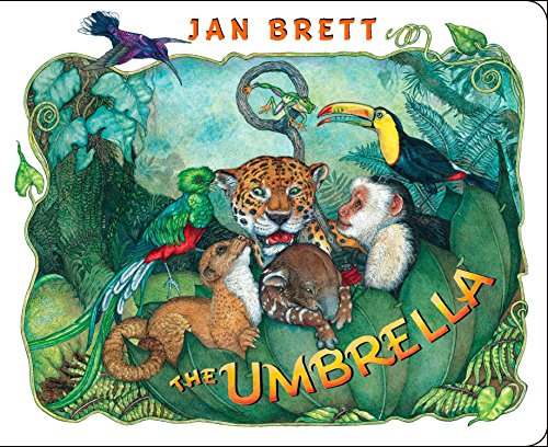 Umbrella book cover