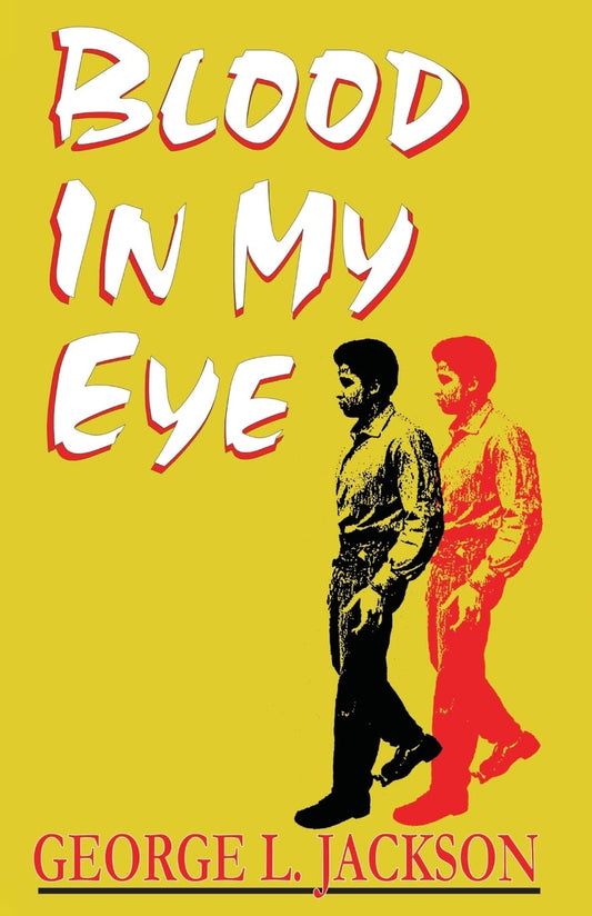 Blood in My Eye book cover