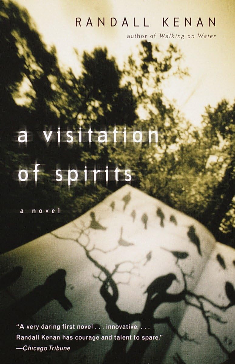 Visitation of Spirits book cover