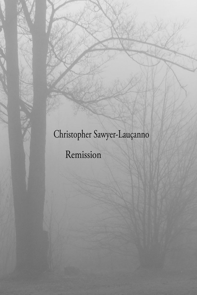 Remission book cover