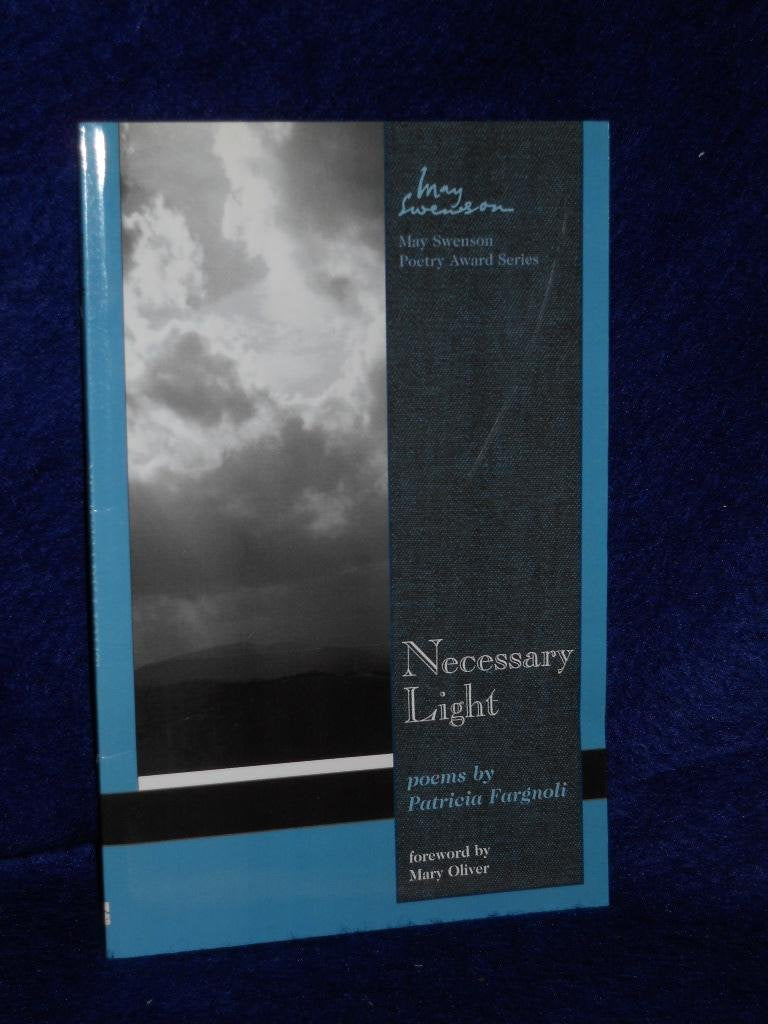 Necessary Light book cover