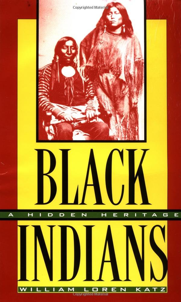 Black Indians: A Hidden Heritage book cover