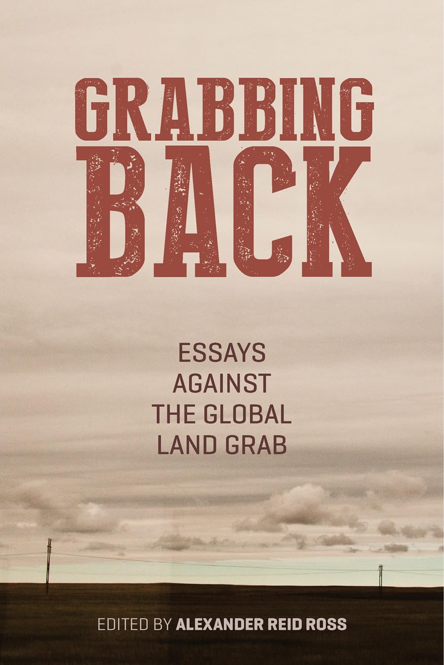 Grabbing Back: Essays Against the Global Land Grab book cover