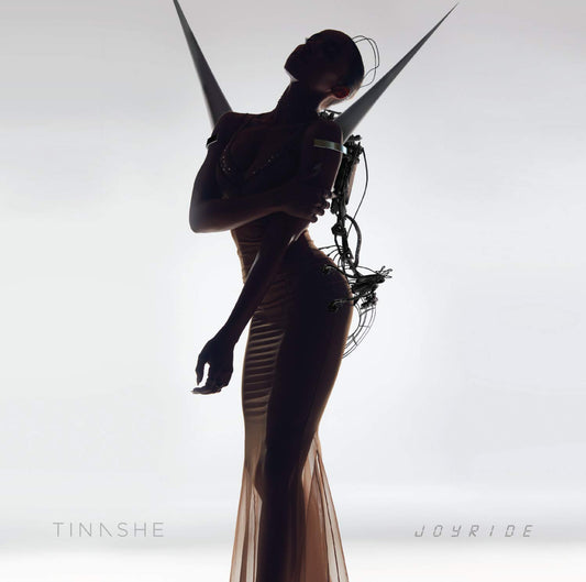 Joyride book cover