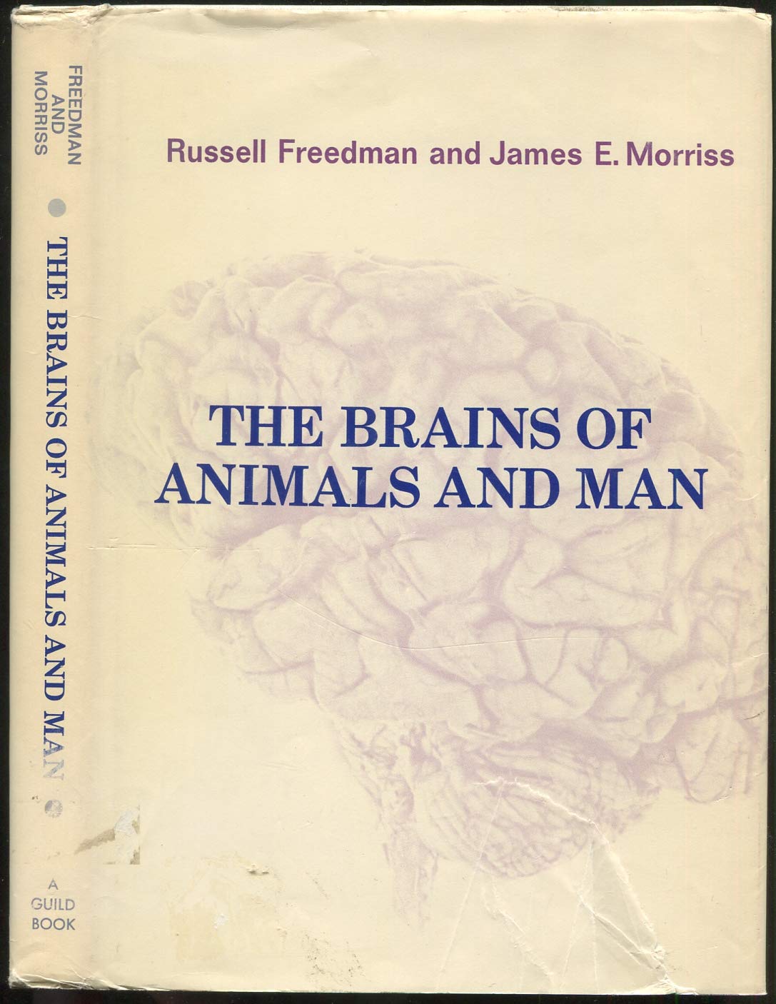 The brains of animals and man book cover