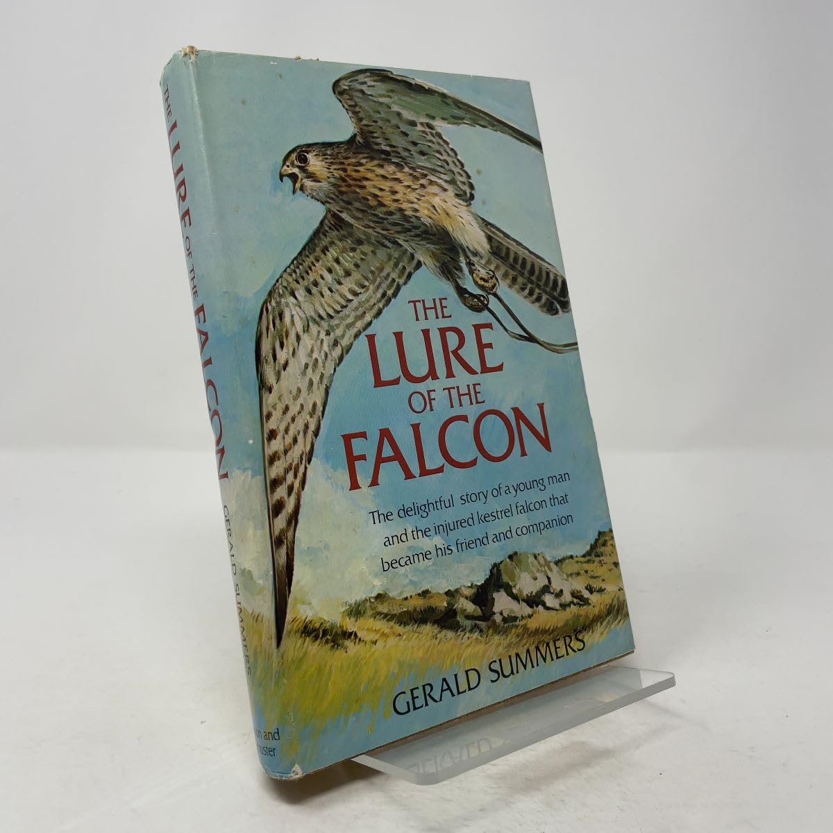 Lure of the Falcon book cover
