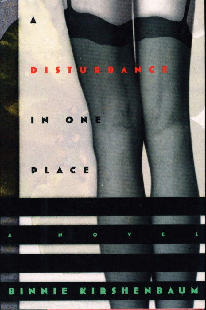A Disturbance in One Place: A Novel book cover