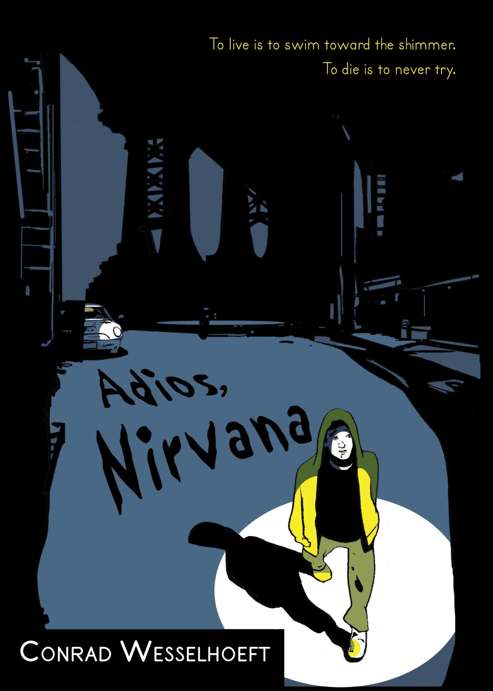 Adios, Nirvana book cover