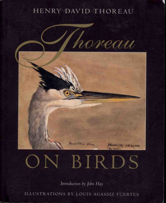 Thoreau on Birds book cover