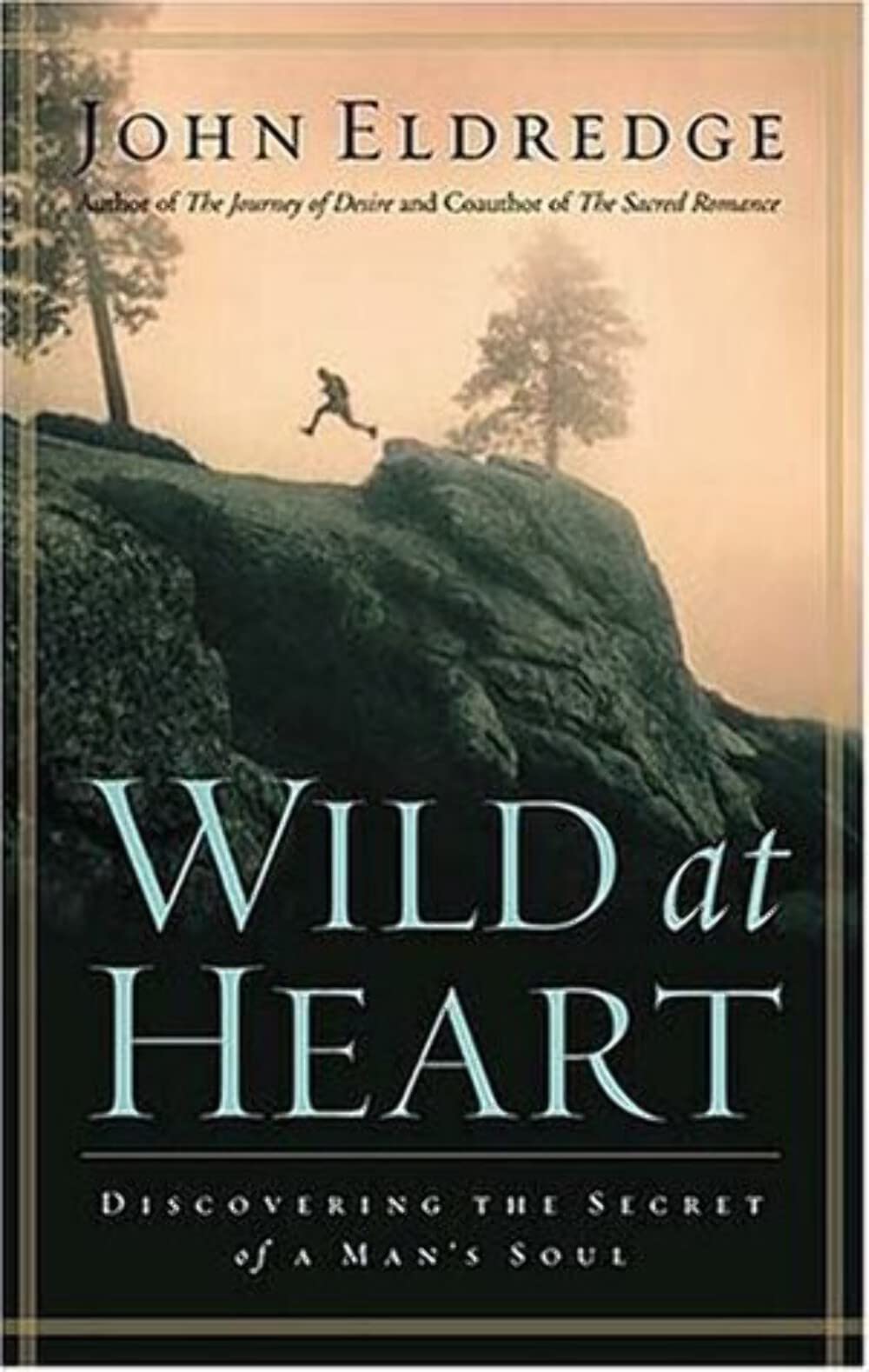 Wild at Heart: Discovering the Secret of a Man's Soul book cover