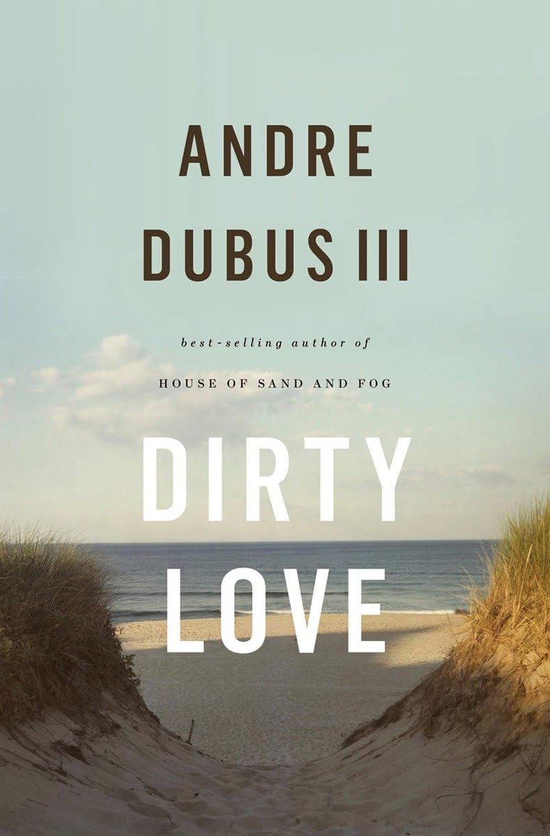 Dirty Love book cover